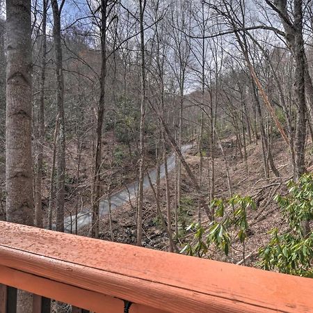Tree Top Dream Cabin With Hot Tub In Gatlinburg! 빌라 외부 사진